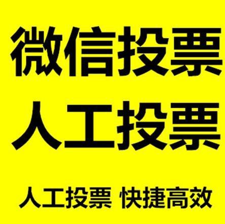 厦门市投票活动拉票能被查出来吗？如何操作能不被发现？